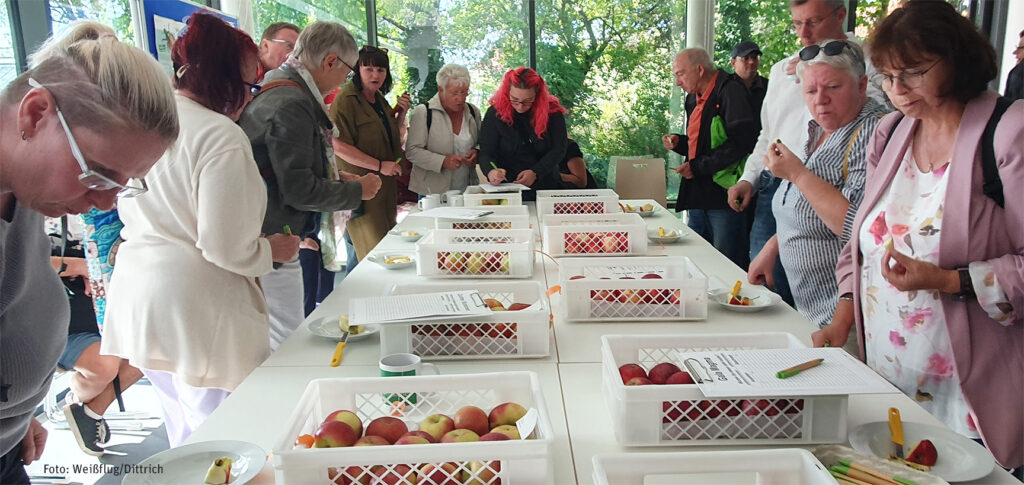 Ausflug zur Gartenakademie Pillnitz