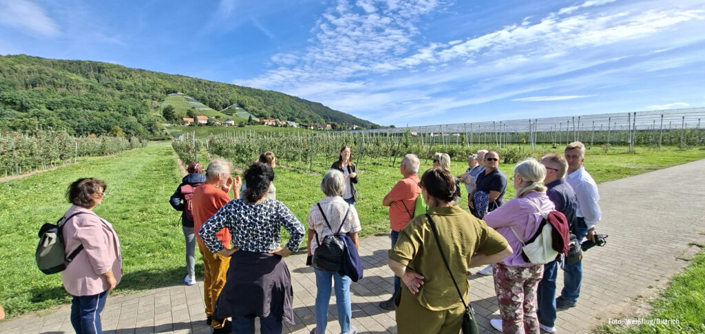 Ausflug zur Gartenakademie Pillnitz
