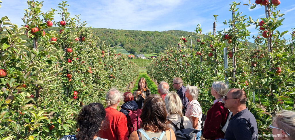 Ausflug zur Gartenakademie Pillnitz