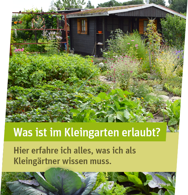 Neu im Kleingarten?